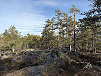 ØyvindBergkvam_20250323_67e01a464f224.jpg