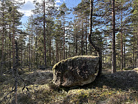 ØyvindBergkvam_20250323_67e01a4b5d6e9.jpg