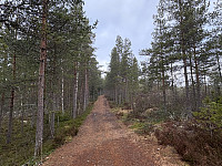ØyvindBergkvam_20250504_68179addb33fb.jpg