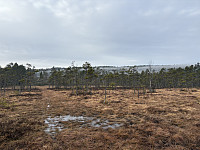 ØyvindBergkvam_20250504_68179af009e9c.jpg