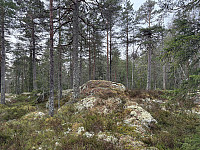 ØyvindBergkvam_20250504_68179b0b707e6.jpg