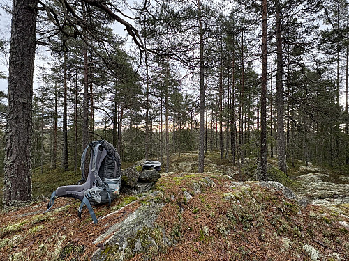 Kinnåsen 318 moh