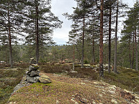 ØyvindBergkvam_20250504_68179b2e89f01.jpg