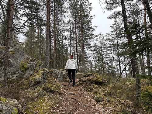 Cecilie er snart oppe ved stidelet hvor avstikkeren ut mot utsiktspunktet går fra.