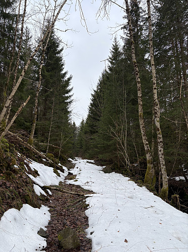Det lå en del snø igjen enkelte skyggefulle partier