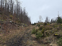 ØyvindBergkvam_20250504_68179ff0170ba.jpg