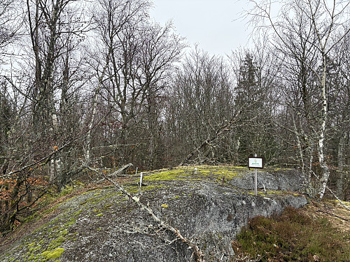 Toppen av Brånakollane i Larvik