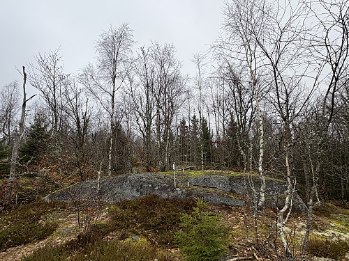 Toppen av Brånakollane i Larvik