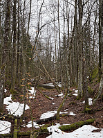 ØyvindBergkvam_20250504_6817a009c5bb4.jpg