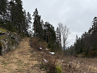 ØyvindBergkvam_20250505_68188af919dd5.jpg