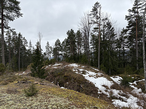 Toppkollen sett fra nord