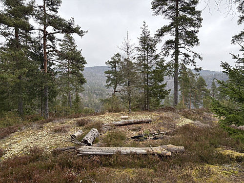 Bålplass og noe utsikt på Rødsåsen nord