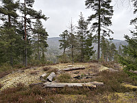ØyvindBergkvam_20250505_68188b1a06f15.jpg
