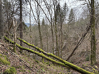 ØyvindBergkvam_20250505_68188fd05c379.jpg