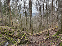 ØyvindBergkvam_20250505_68188fdfe9aff.jpg