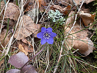 ØyvindBergkvam_20250505_68188fe513639.jpg