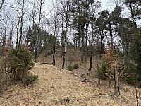 ØyvindBergkvam_20250505_68188fecb41f2.jpg