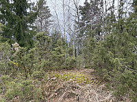 ØyvindBergkvam_20250505_68188ffba53a3.jpg