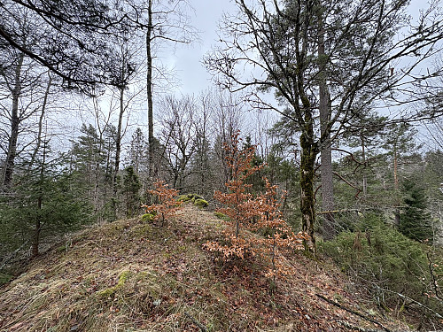 Mellomåsen 181 moh