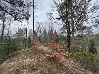ØyvindBergkvam_20250505_6818900e5640c.jpg