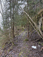 ØyvindBergkvam_20250505_68189a84b1141.jpg