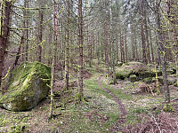 ØyvindBergkvam_20250505_68189a94b9071.jpg