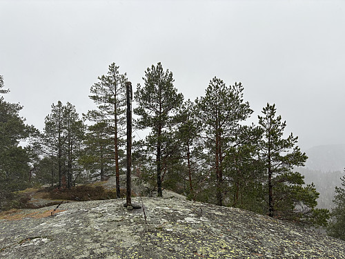 Toppunktet på Røysa