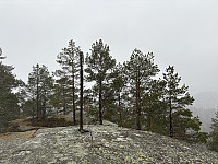 ØyvindBergkvam_20250505_68189aa946029.jpg