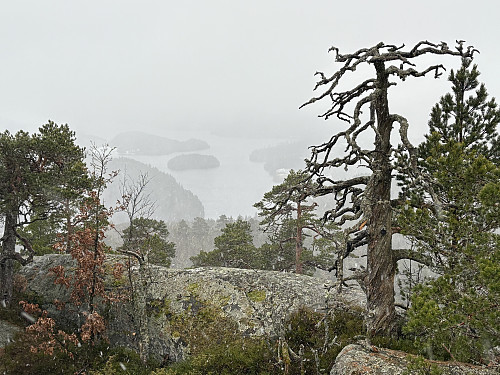 Utsikt sørover mot Eikenesfjorden
