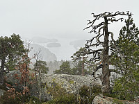 ØyvindBergkvam_20250505_68189ab10e4ad.jpg