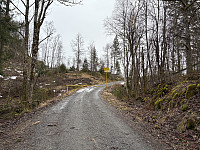 ØyvindBergkvam_20250505_68189e5ddb279.jpg