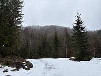 ØyvindBergkvam_20250505_68189e640994c.jpg