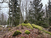 ØyvindBergkvam_20250505_68189e7787d26.jpg
