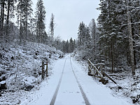 ØyvindBergkvam_20250505_6818c1383acac.jpg