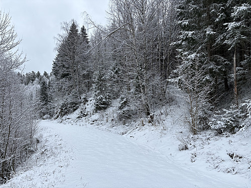 Her tok jeg av fra veien og inn på stien til høyre.