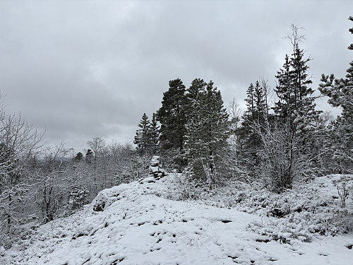 Sandvikskollane i Larvik