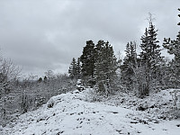ØyvindBergkvam_20250505_6818c15006e7b.jpg