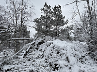 ØyvindBergkvam_20250505_6818c1567e70a.jpg