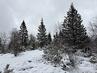 ØyvindBergkvam_20250505_6818c164cafee.jpg