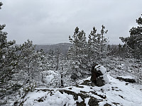 ØyvindBergkvam_20250505_6818fbeaa7591.jpg