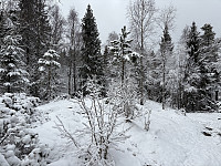 ØyvindBergkvam_20250525_6832ddca08218.jpg