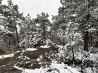ØyvindBergkvam_20250525_6832e0b9df211.jpg