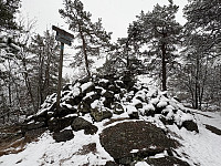 ØyvindBergkvam_20250525_6832e0be42692.jpg