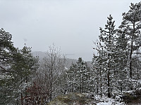 ØyvindBergkvam_20250525_6832e0c3275d7.jpg