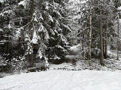 Her starter stien videre opp mot toppen av Tråkfjell fra snuplassen