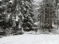 ØyvindBergkvam_20250525_6832e3d536f67.jpg