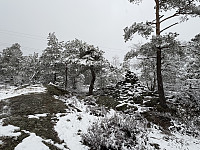 ØyvindBergkvam_20250525_6832e3dd2d3c8.jpg