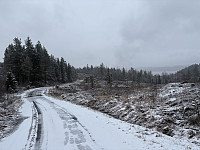 ØyvindBergkvam_20250525_6832e3e1ee762.jpg