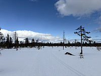 ØyvindBergkvam_20250526_683475e5a8700.jpg