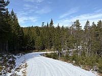 ØyvindBergkvam_20250527_6835bfabb2898.jpg